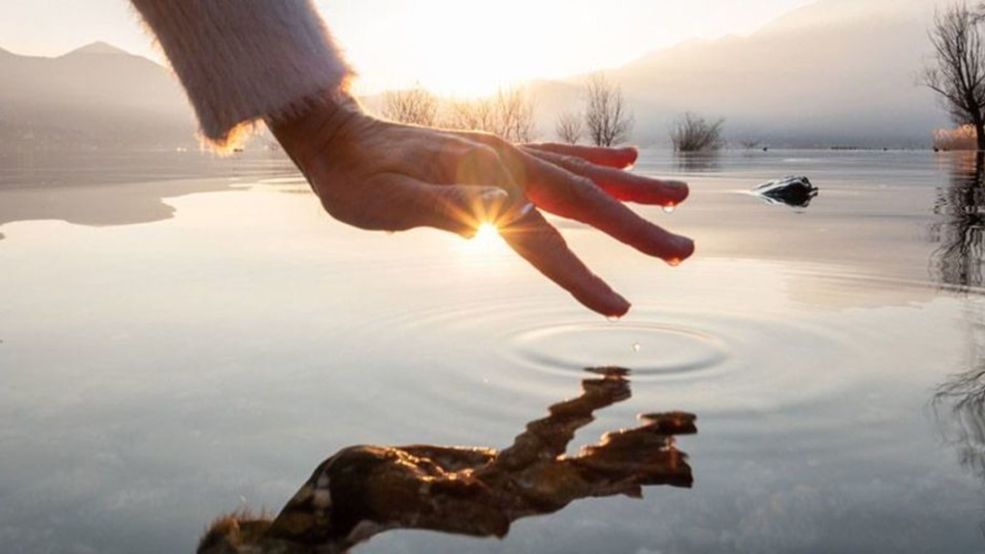 Técnicas de Mindfulness